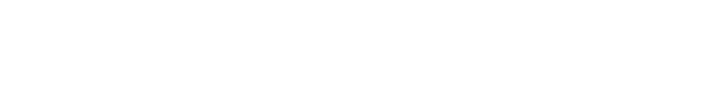 Auxilio Network